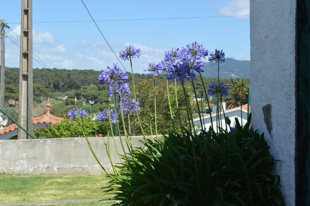 Casalinho De Santo Antonio Bed and Breakfast Sintra Eksteriør billede