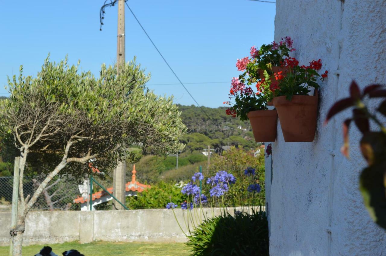 Casalinho De Santo Antonio Bed and Breakfast Sintra Eksteriør billede